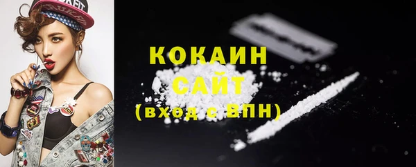 мдпв Кодинск