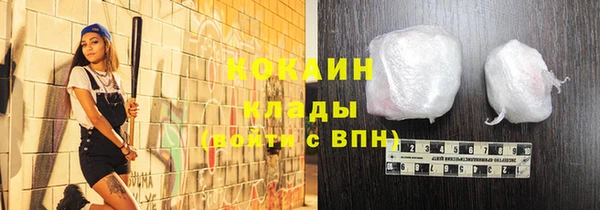 мдпв Кодинск