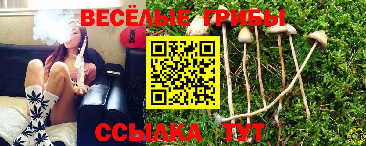 Балаково  Псилоцибиновые грибы ЛСД  купить закладку  Вход с VPN 