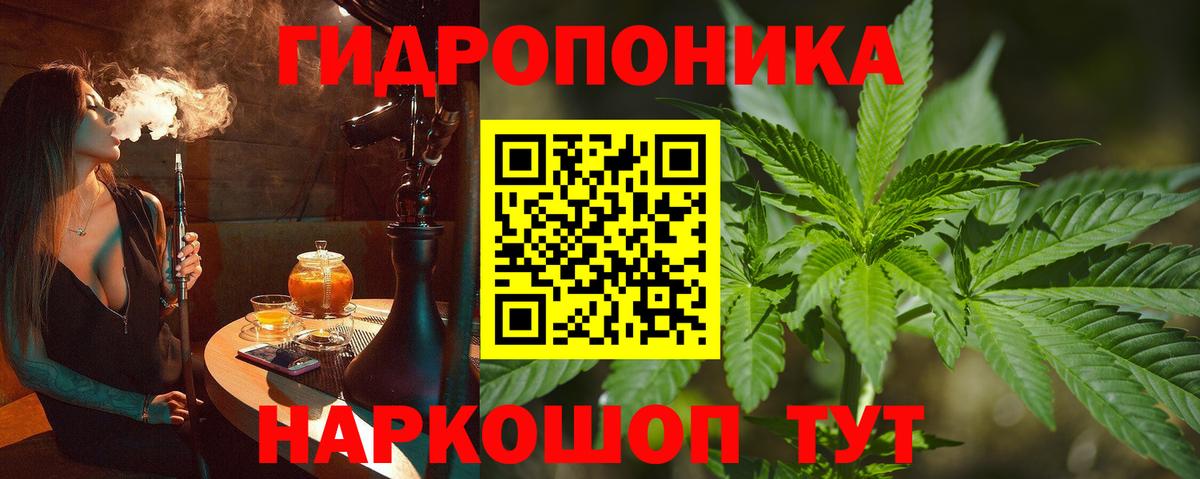 Балаково  МАРИХУАНА план  Вход с VPN  Бошки Шишки White Widow 